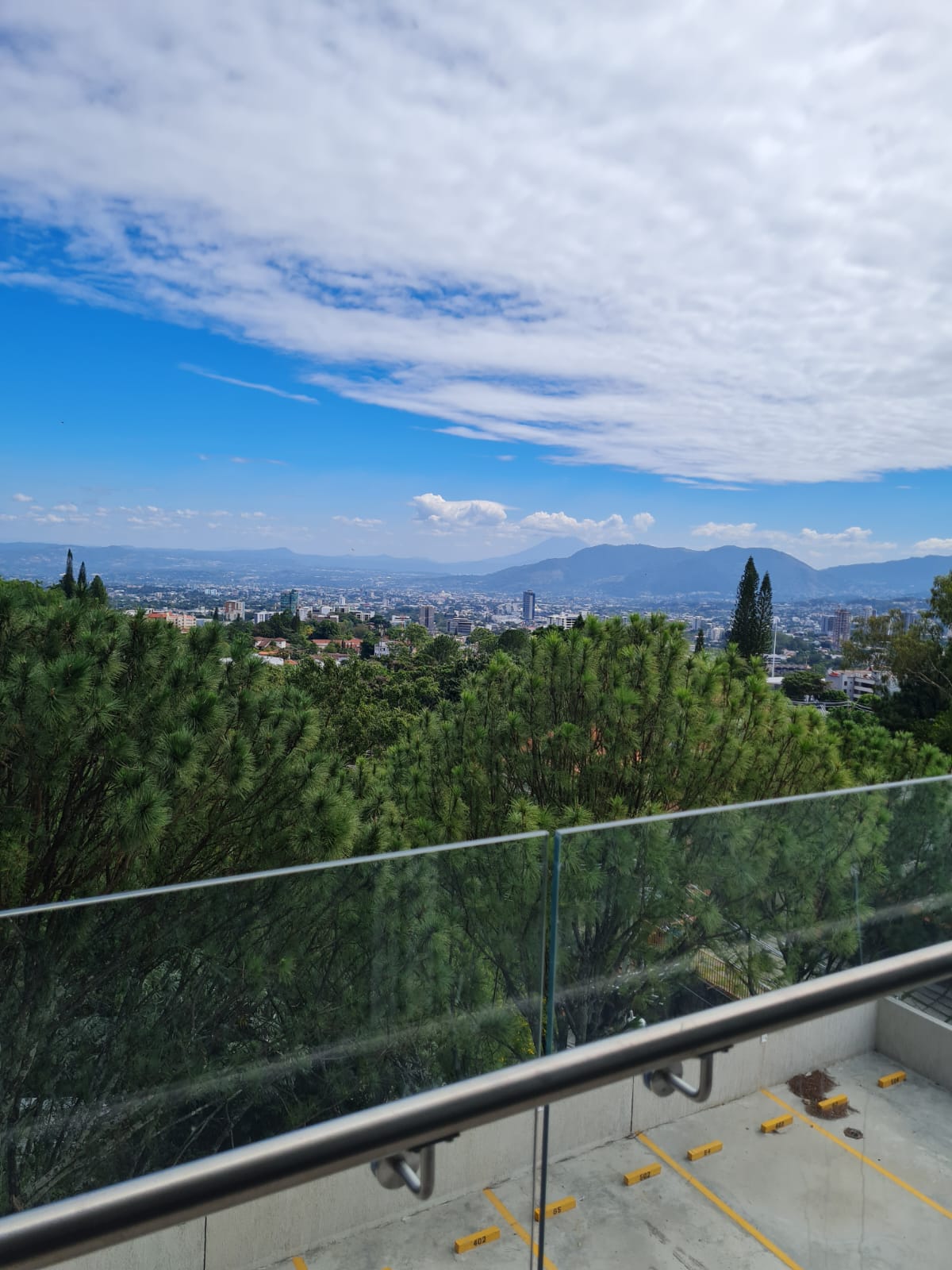 WhatsApp Image 2026-02-11 at 9.13.21 PM